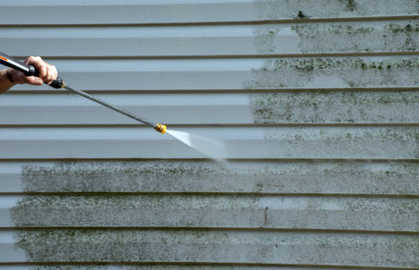 Best Affordable Power Washing  in Bayou La Batre, AL