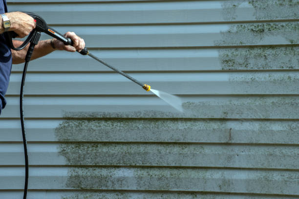 Best Deck Cleaning Services  in Bayou La Batre, AL
