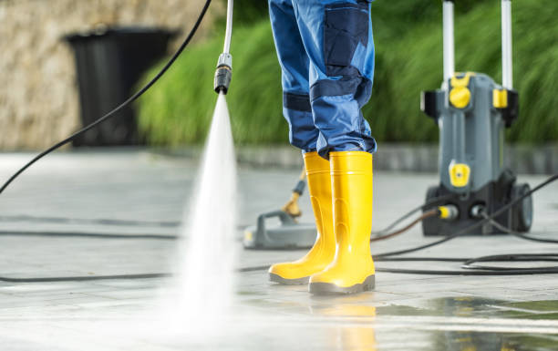 Best Roof Power Washing Services  in Bayou La Batre, AL