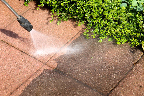 Best House Pressure Washing  in Bayou La Batre, AL